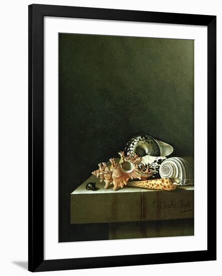 A Still Life of Shells, 1698-Adrian Coorte-Framed Giclee Print