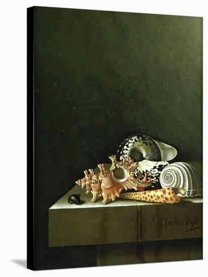 A Still Life of Shells, 1698-Adrian Coorte-Stretched Canvas