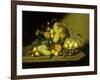 A Still Life with a Basket of Grapes and Mixed Fruit on a Stone Ledge-Johann Georg Seitz-Framed Giclee Print