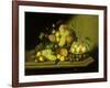 A Still Life with a Basket of Grapes and Mixed Fruit on a Stone Ledge-Johann Georg Seitz-Framed Giclee Print