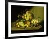 A Still Life with a Basket of Grapes and Mixed Fruit on a Stone Ledge-Johann Georg Seitz-Framed Giclee Print