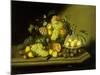A Still Life with a Basket of Grapes and Mixed Fruit on a Stone Ledge-Johann Georg Seitz-Mounted Giclee Print