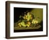 A Still Life with a Basket of Grapes and Mixed Fruit on a Stone Ledge-Johann Georg Seitz-Framed Giclee Print