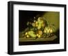 A Still Life with a Basket of Grapes and Mixed Fruit on a Stone Ledge-Johann Georg Seitz-Framed Giclee Print