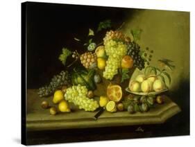 A Still Life with a Basket of Grapes and Mixed Fruit on a Stone Ledge-Johann Georg Seitz-Stretched Canvas