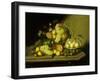 A Still Life with a Basket of Grapes and Mixed Fruit on a Stone Ledge-Johann Georg Seitz-Framed Giclee Print