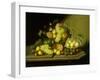 A Still Life with a Basket of Grapes and Mixed Fruit on a Stone Ledge-Johann Georg Seitz-Framed Giclee Print