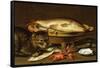 A Still Life with Carp in a Ceramic Colander, Oysters, Crayfish, Roach and a Cat on the Ledge…-Clara Peeters-Framed Stretched Canvas