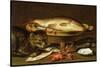 A Still Life with Carp in a Ceramic Colander, Oysters, Crayfish, Roach and a Cat on the Ledge…-Clara Peeters-Stretched Canvas