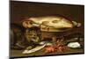 A Still Life with Carp in a Ceramic Colander, Oysters, Crayfish, Roach and a Cat on the Ledge…-Clara Peeters-Mounted Giclee Print