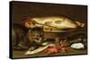 A Still Life with Carp in a Ceramic Colander, Oysters, Crayfish, Roach and a Cat on the Ledge…-Clara Peeters-Stretched Canvas