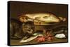 A Still Life with Carp in a Ceramic Colander, Oysters, Crayfish, Roach and a Cat on the Ledge…-Clara Peeters-Stretched Canvas