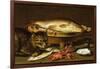 A Still Life with Carp in a Ceramic Colander, Oysters, Crayfish, Roach and a Cat on the Ledge…-Clara Peeters-Framed Giclee Print