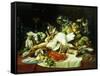 A Still Life with Fruit, Fish, Game and a Goldfish Bowl-Lucas Schaefels-Framed Stretched Canvas