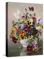 A Still Life with Pansies-Albert Williams-Stretched Canvas