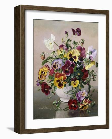 A Still Life with Pansies-Albert Williams-Framed Giclee Print