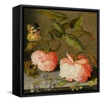 A Still Life with Roses on a Ledge-Balthasar van der Ast-Framed Stretched Canvas