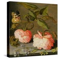 A Still Life with Roses on a Ledge-Balthasar van der Ast-Stretched Canvas
