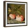 A Still Life with Roses on a Ledge-Balthasar van der Ast-Framed Giclee Print