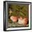 A Still Life with Roses on a Ledge-Balthasar van der Ast-Framed Giclee Print