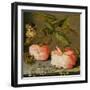 A Still Life with Roses on a Ledge-Balthasar van der Ast-Framed Giclee Print