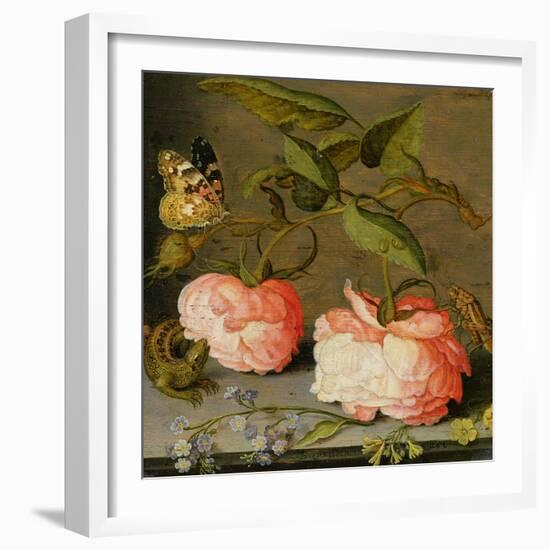 A Still Life with Roses on a Ledge-Balthasar van der Ast-Framed Giclee Print