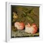 A Still Life with Roses on a Ledge-Balthasar van der Ast-Framed Giclee Print