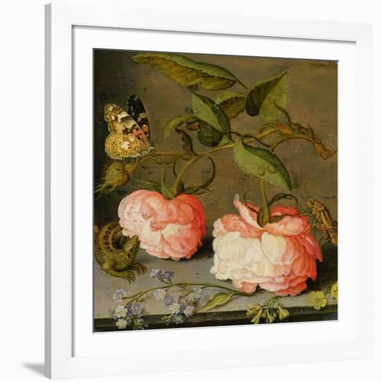 A Still Life with Roses on a Ledge-Balthasar van der Ast-Framed Giclee Print