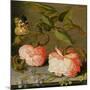 A Still Life with Roses on a Ledge-Balthasar van der Ast-Mounted Giclee Print