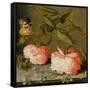 A Still Life with Roses on a Ledge-Balthasar van der Ast-Framed Stretched Canvas