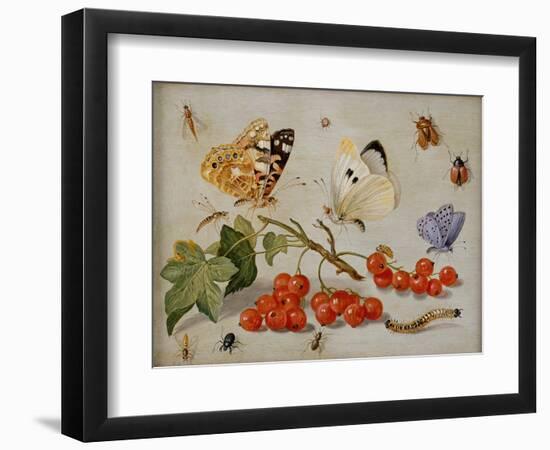 A Still Life with Sprig of Redcurrants, Butterflies, Beetles, Caterpillar and Insects-Jan Van, The Elder Kessel-Framed Giclee Print