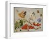 A Still Life with Sprig of Redcurrants, Butterflies, Beetles, Caterpillar and Insects-Jan Van, The Elder Kessel-Framed Giclee Print