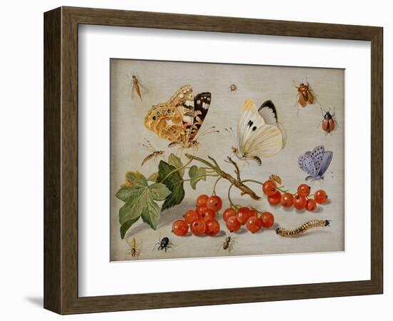 A Still Life with Sprig of Redcurrants, Butterflies, Beetles, Caterpillar and Insects-Jan Van, The Elder Kessel-Framed Premium Giclee Print