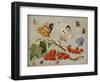 A Still Life with Sprig of Redcurrants, Butterflies, Beetles, Caterpillar and Insects-Jan Van, The Elder Kessel-Framed Premium Giclee Print