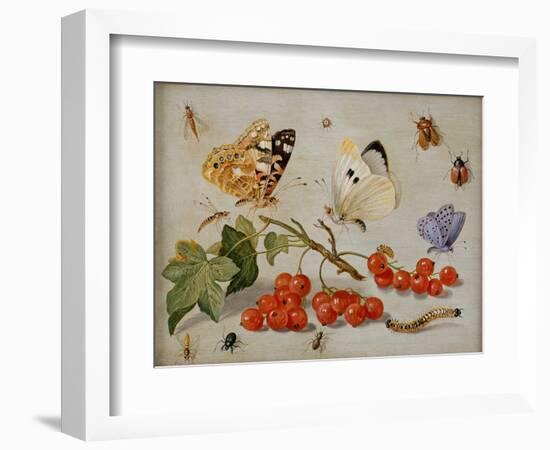 A Still Life with Sprig of Redcurrants, Butterflies, Beetles, Caterpillar and Insects-Jan Van, The Elder Kessel-Framed Premium Giclee Print