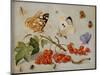 A Still Life with Sprig of Redcurrants, Butterflies, Beetles, Caterpillar and Insects-Jan Van, The Elder Kessel-Mounted Premium Giclee Print