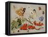 A Still Life with Sprig of Redcurrants, Butterflies, Beetles, Caterpillar and Insects-Jan Van, The Elder Kessel-Framed Stretched Canvas