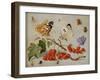 A Still Life with Sprig of Redcurrants, Butterflies, Beetles, Caterpillar and Insects-Jan Van, The Elder Kessel-Framed Giclee Print