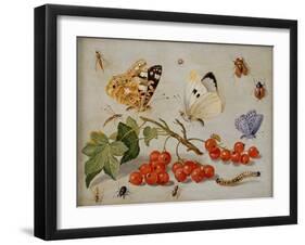 A Still Life with Sprig of Redcurrants, Butterflies, Beetles, Caterpillar and Insects-Jan Van, The Elder Kessel-Framed Giclee Print