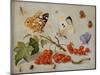 A Still Life with Sprig of Redcurrants, Butterflies, Beetles, Caterpillar and Insects-Jan Van, The Elder Kessel-Mounted Giclee Print