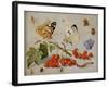 A Still Life with Sprig of Redcurrants, Butterflies, Beetles, Caterpillar and Insects-Jan Van, The Elder Kessel-Framed Giclee Print