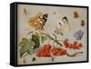 A Still Life with Sprig of Redcurrants, Butterflies, Beetles, Caterpillar and Insects-Jan Van, The Elder Kessel-Framed Stretched Canvas