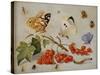 A Still Life with Sprig of Redcurrants, Butterflies, Beetles, Caterpillar and Insects-Jan Van, The Elder Kessel-Stretched Canvas