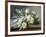 A Still Life with Yellow Roses-Raoul De Longpre-Framed Photographic Print