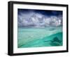 A Stingray Swimming Through the Caribbean Sea at the Cayman Islands.-Ian Shive-Framed Premium Photographic Print