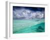 A Stingray Swimming Through the Caribbean Sea at the Cayman Islands.-Ian Shive-Framed Premium Photographic Print