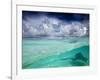 A Stingray Swimming Through the Caribbean Sea at the Cayman Islands.-Ian Shive-Framed Photographic Print