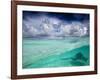 A Stingray Swimming Through the Caribbean Sea at the Cayman Islands.-Ian Shive-Framed Photographic Print