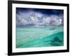 A Stingray Swimming Through the Caribbean Sea at the Cayman Islands.-Ian Shive-Framed Photographic Print