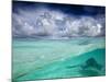 A Stingray Swimming Through the Caribbean Sea at the Cayman Islands.-Ian Shive-Mounted Photographic Print
